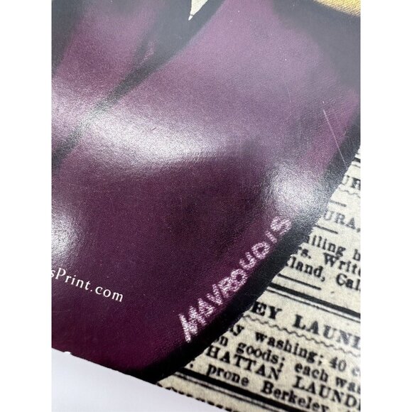 Hardly Strictly Bluegrass Poster 2011 John Mavroudis San Fransisco Moonalice - Picture 7 of 13